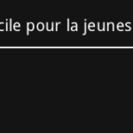 Citation courte : Rien n'est trop difficile pour la ...