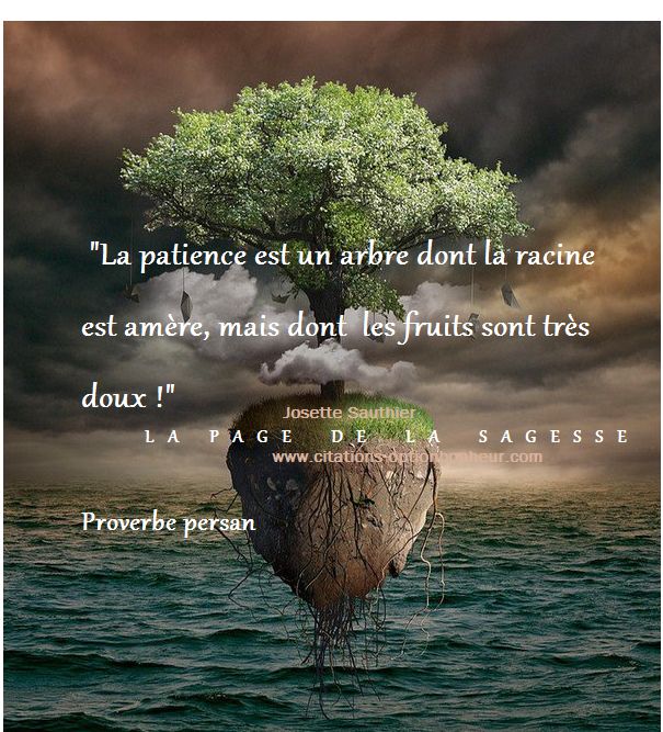 Top 12 Le Fruit De La Patience Citation Photos Quotes Tn Citations Proverbes Belles Phrases