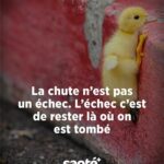 Commentaire de la phrase culte de la Haine « l’important c ...