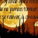 L’important, ce n’est pas la chute, parce que la chute ...