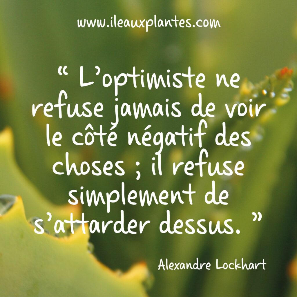 Pensée positive quotidienne : 31 citations - Objectif Moon