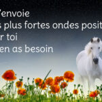 Pensée positive | la Fontaine de la santé