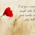 Message d'amour - Exprimer vos sentiments d'amour