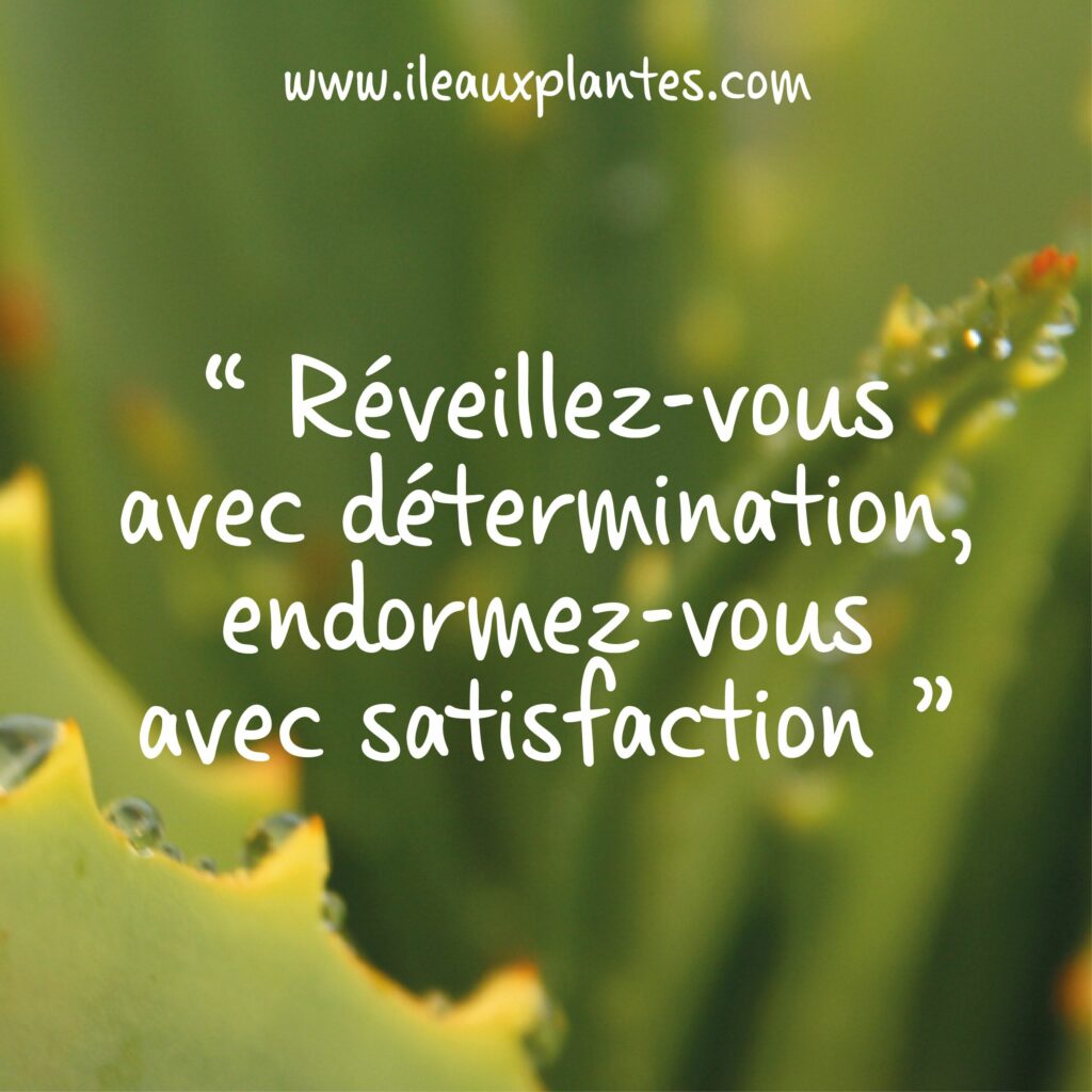 Citations courtes sur travail - Citation courte