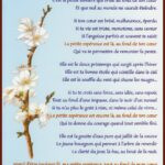 Poèmes d'espoir et de bonheur, page 2 - Editions Melonic