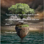 Proverbe et LA PATIENCE : 10 proverbes - Citation Célèbre