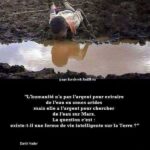 Citation quotidien - 44 citations et proverbes sur quotidien