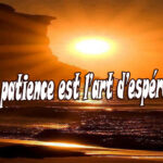 Citations sur le thème patience - Des proverbes et ...