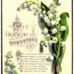 Commentaire Sur Le Texte De Tocqueville Sur Le Bonheur Et ...