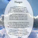 Un petit mot sur moi! - Papille, coté cours