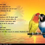 Quelques petits mots sur moi